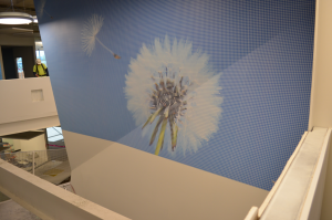 WallCoverings-b